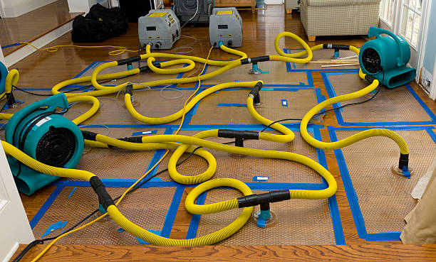 Professional Water Damage Restoration technician working in Gladstone, MI
